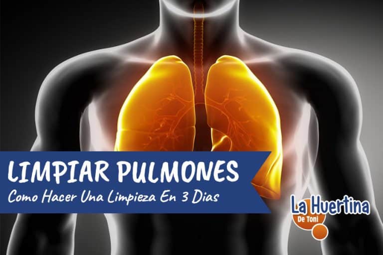 Como Limpiar Los Pulmones En Solo 3 Días La Huertina De Toni