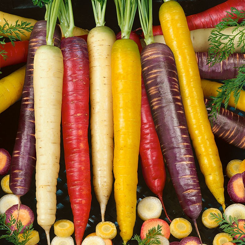 Organic-Heirloom-Carrot-Rainbow-Mix2