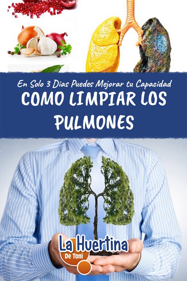 Como Limpiar Los Pulmones En Solo 3 Días - La Huertina De Toni