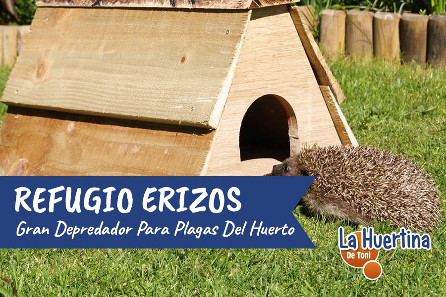 Los precios bajan al comprar Mejor calidad para invierno Casa para erizos  con suelo de madera y techo de vacuno un refugio impermeable para erizos  durante todo el año para el jardín