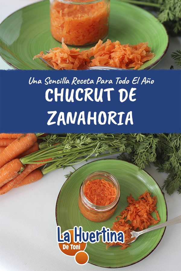 Cómo preparar Chucrut de Zanahoria, receta fácil - La Huertina De Toni