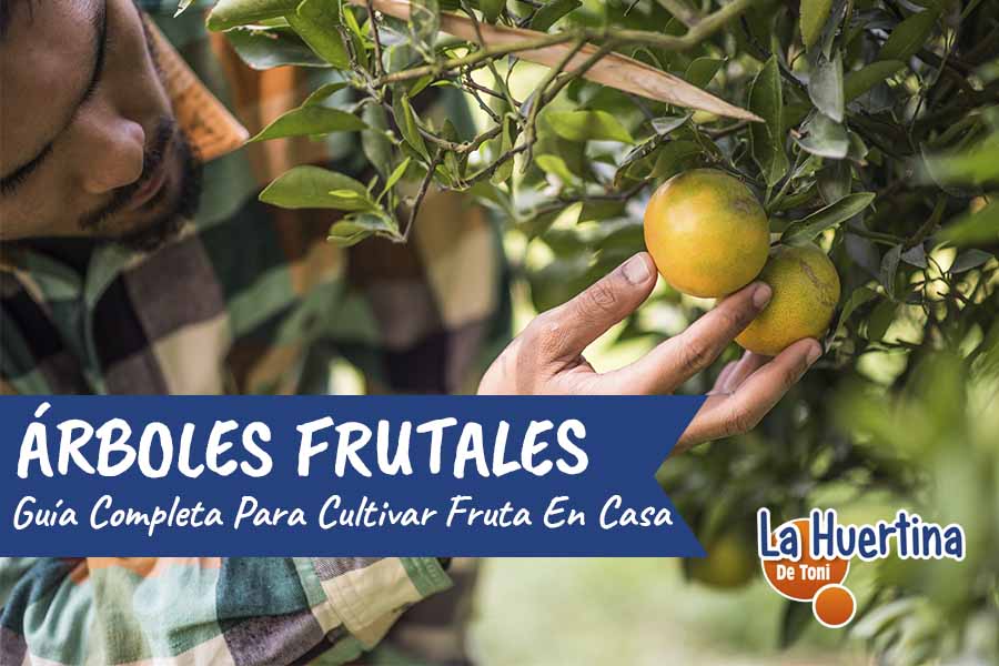 guia de cultivo de frutales