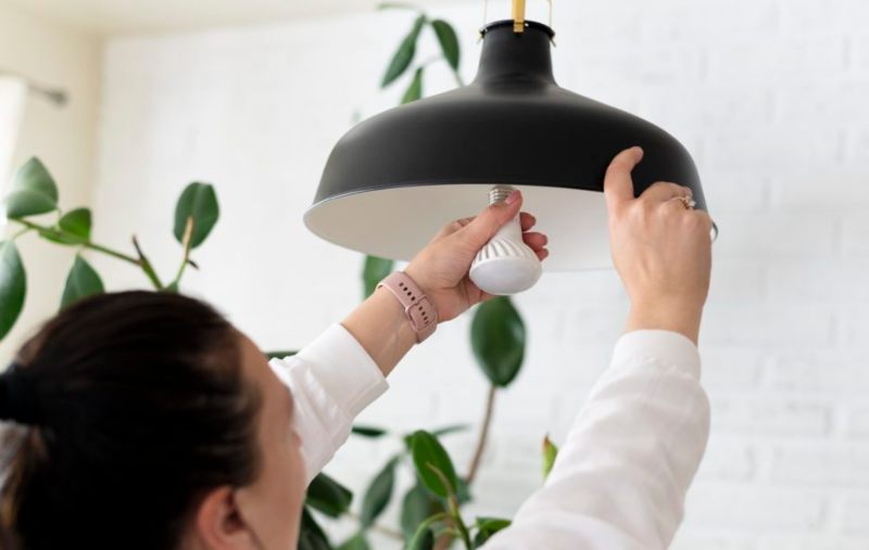 luz para plantas