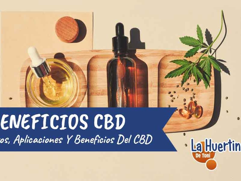 beneficios CBD