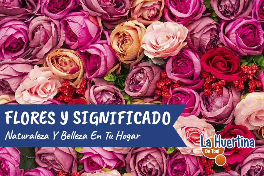 flores y significado